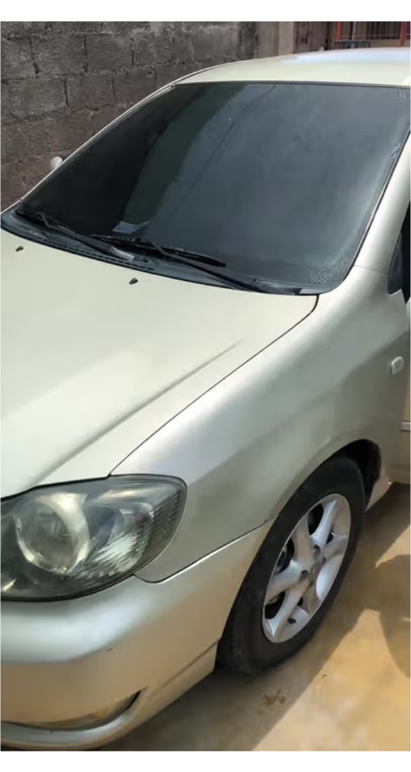 Auto con polarizado instalado